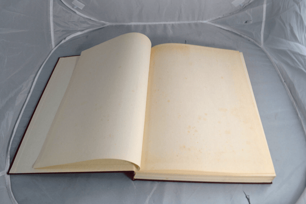 Wieland Wagner : Persönlichkeit und Leistung. Schäfer, Walter Erich: - Chorlton Analogue