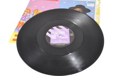 Shannon Sweet Somebody Vinyl Record 1984 Special Extended Version JABX3 - Chorlton Analogue